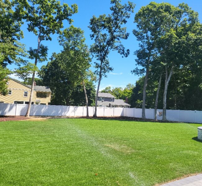Landscape in NY | Tree Service in NY | Jirehny.com