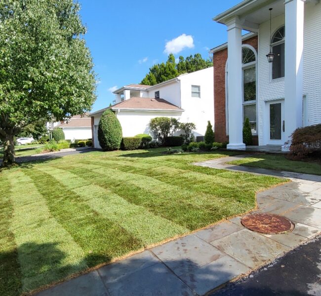 Landscape in NY | Tree Service in NY | Jirehny.com