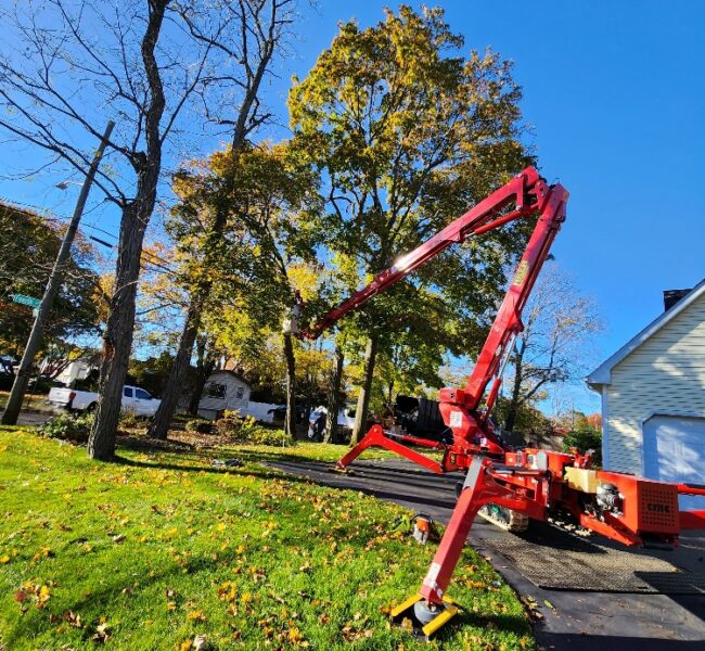 Landscape in NY | Tree Service in NY | Jirehny.com