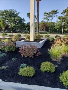 Big Garden | Jirehny.com