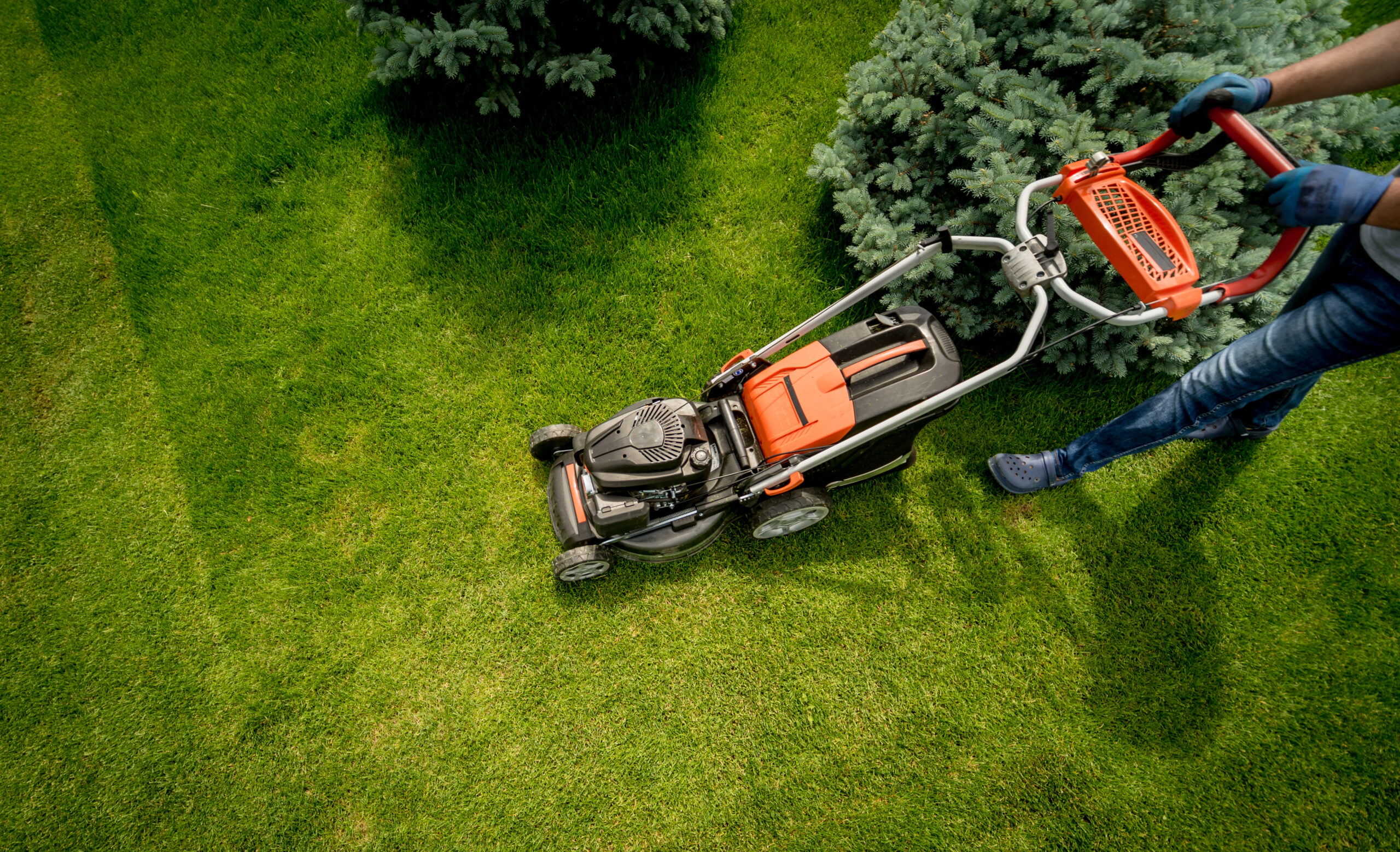 Landscape in NY | Tree Service in NY | Jirehny.com