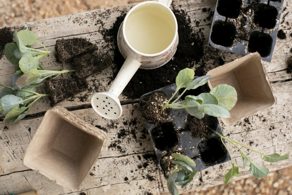 Eco-friendly Gardening