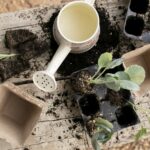 Eco-friendly Gardening