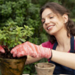 Gardening Tips